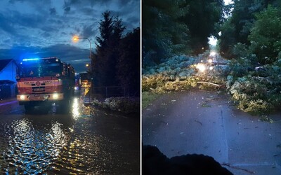 Silné bouřky v Česku: Hasiči vyjeli k 1200 případům. Padaly stromy a zvedla se hladina řek