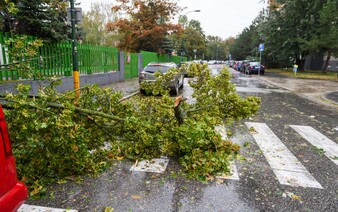 Silný vietor udrie už o pár minút na veľkom území Slovenska. Bude dosahovať rýchlosť až 135 km/h