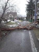 Silný vítr v Česku připravil desetitisíce domácností o elektřinu, komplikuje i dopravu. V noci měl sílu orkánu