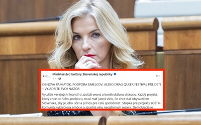 Šimkovičovej ministerstvo stiahlo kontroverzný status plný kritických komentárov. Ponižovali v ňom LGBT+ ľudí