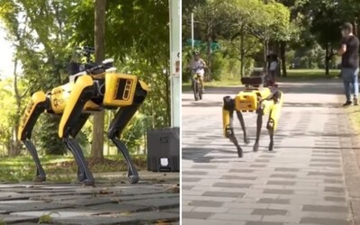 Singapurský park kontroluje robotický pes, lidi upozorňuje na dodržování rozestupů 