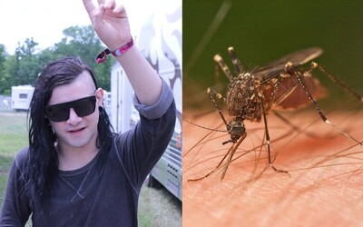Skrillex jako repelent: Vědecká studie prokázala, že dubstep odrazuje komáry
