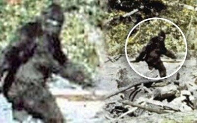Slávne video údajne zachytávajúce Bigfoota vzbudzuje dohady aj dnes. Ako vlastne vzniklo a existuje tento záhadný tvor?