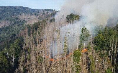 Sleduj živě přenos z požárem zasaženého Hřenska, oblast snímají 3 kamery