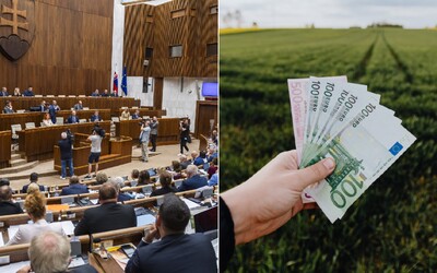 Slováci budú mať právo na hotovosť zakotvené v ústave, schválili poslanci. Čo to znamená v praxi?