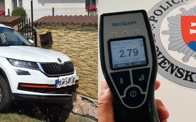 Slovák si sadol za volant s 5,8 promile. Rekordér spravil škodu za 3 500 eur, zbúral všetko, čo mu prišlo do cesty