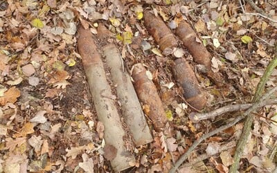 Slovák zostal šokovaný: Do lesa sa vybral hľadať huby, našiel funkčné granáty