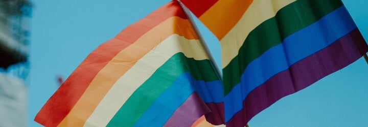 Slovenská speváčka Karin Ann v poľskej televízii vytiahla dúhovú vlajku a podporila LGBT komunitu. Editor dostal padáka