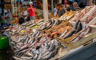 Slovenské úrady sťahujú z pultov rybu. Našli v nej nebezpečné množstvo ortute