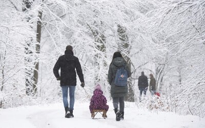 Slovensko čakajú víchrica a sneženie. Miestami napadne až 15 centimetrov snehu