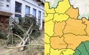 Slovensko o pár minút zasiahne víchrica vo viacerých okresoch. Miestami môže dosahovať až 160 km/h, platia výstrahy (+ mapa)