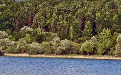 Slovensko patrí do top 10 krajín s najviac utopeniami v Európe. Najčastejšie zomierajú muži po päťdesiatke