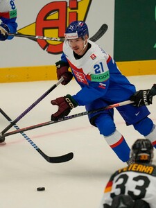 Slovensko prehralo prvý hokejový zápas proti Nemecku 4:6