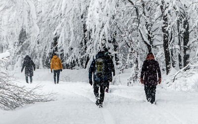 Slovensko, priprav sa na intenzívne sneženie. Už v najbližších dňoch by mala prísť poriadna zima, a to nielen na horách