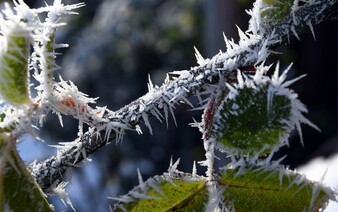 Slovensko zasiahne mráz. Výstrahy prvého stupňa platia na severe a východe krajiny (+ mapy)