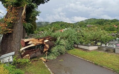 Slovensko zasiahne silná víchrica. Vietor na severe dosiahne rýchlosť až 135 km/h