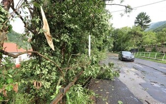 Slovensko zasiahne silná víchrica. Vietor na severe dosiahne rýchlosť až 135 km/h