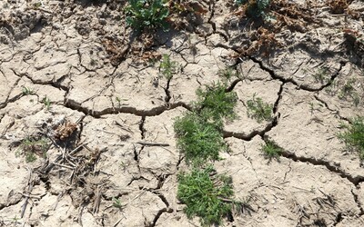 Slovensko zažíva najväčšie suchá za posledné desaťročia. V apríli takmer nikde nepršalo