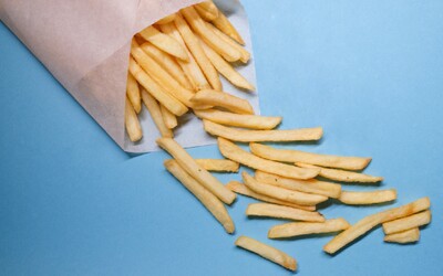 Smažené jídlo může napomáhat ke vzniku úzkostí a deprese, ukazuje nová studie