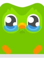 Sova Duo vstala z mŕtvych. „Legendy neumierajú,“ oznámila spoločnosť Duolingo