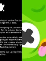 Sova z Duolinga umrela: Úrady vyšetrujú príčinu smrti, uviedli tvorcovia hry