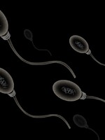 Spermie v noci uhnije: Za posledních 40 let se hustota spermatu dramaticky snížila