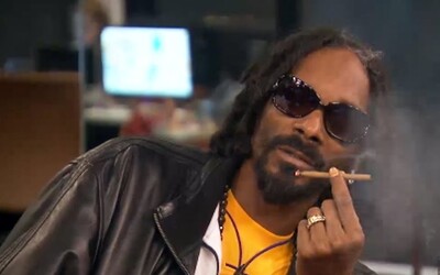 Spoločnosť ponúka 36-tisíc dolárov ročne za testovanie marihuany s obsahom CBD, ktorú fajčí aj Snoop Dogg