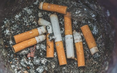 Způsobí více úmrtí než vraždy, autohavárie a drogy dohromady. Proč lidé utrácejí za cigarety, které je zabíjejí?