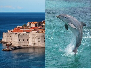 Starej se o delfíny a cestuj po Chorvatsku 4 týdny zdarma. Společnost nabízí dobrovolnictví snů