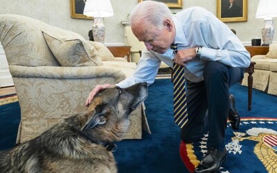 Štěkistika Bílého domu: Kolik lidí už pokousal pes prezidenta Bidena? 