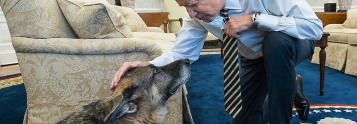 Štěkistika Bílého domu: Kolik lidí už pokousal pes prezidenta Bidena? 