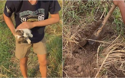 Stratené šteniatko našli zasypané hlinou a uväznené v metrovej jame. Vypátrali ho vďaka kňučaniu spod zeme