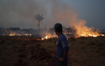Štve tě, že hoří amazonský prales? Přestaň jíst maso