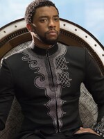 Svět Marvelu: Vymění Chadwicka Bosemana v roli Black Panthera nový herec, nebo se zruší všechna pokračování?