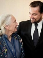 Svet smúti za Jane Goodall. Poctu jej vzdali Leonardo DiCaprio aj Jessica Alba