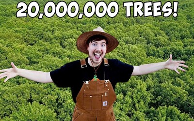 Svetoví YouTuberi sa spoja a vysadia 20 miliónov stromov. Projekt #TeamTrees vedie MrBeast