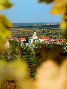 Svetový úspech pre modranské vinárstvo: slovenské vína získali na najväčšej súťaži sveta až 12 medailí