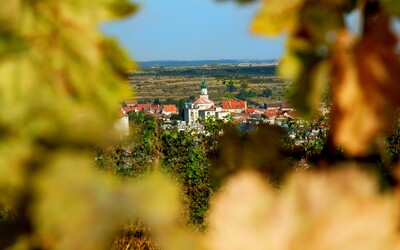 Svetový úspech pre modranské vinárstvo: slovenské vína získali na najväčšej súťaži sveta až 12 medailí