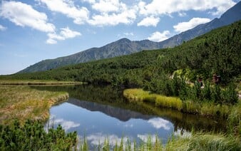 TANAP varuje turistov. Prenášačom SLAK je človek, ale aj pes, ktorý môže ohroziť kamzíky