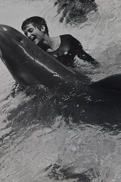 Tajný výskum spojil mladú ženu a delfína natoľko, že mali intímny pomer. Keď sa skončil, zviera zo smútku spáchalo samovraždu