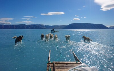 Takto vypadá alarmující tání ledu v Grónsku. Psí spřežení se muselo brodit vodou