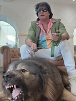 Takto vyzerá najdrahší pes na svete. Nový majiteľ ho kúpil za viac ako 5,2 milióna eur