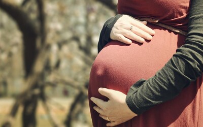 Těhotná Texasanka se bude bránit u soudu. Policie neuznala nenarozené dítě jako druhého pasažéra