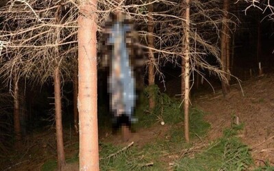 Tělo upáleného psa v pytli zavěsil na strom. Pachateli hrozí 2 roky vězení