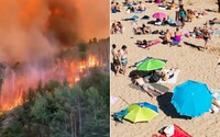 Tento rok bol najteplejším v histórii meraní Španielska. Celú Európu sužovali extrémne horúčavy a sucho, odborníci bijú na poplach