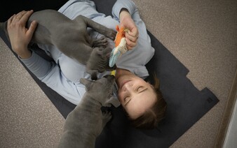 Terapie štěněcí láskou. Navštívili jsme jógu, při které se můžeš pomazlit. Pomáhá lidem i psům