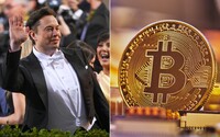 Tesla prodala bitcoin za skoro miliardu dolarů a kryptoměnové trhy se propadly. Elon Musk přitom sliboval opak