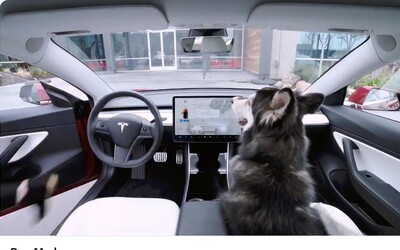 Tesla vyvinula nový mód pro psy, díky němuž mohou oddychovat v klimatizovaném autě, i když si majitelé odběhnou