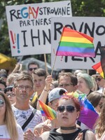 Tieto základné práva sú homosexuálom na Slovensku odopierané. Adopcia detí nie je ani zďaleka najväčším problémom