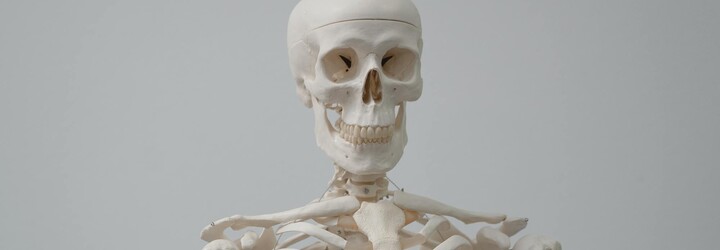 Tiktoker sa na svojom účte chváli obrovskou zbierkou ľudských kostí. Ľudia sú zmätení z toho, odkiaľ ich toľko zobral